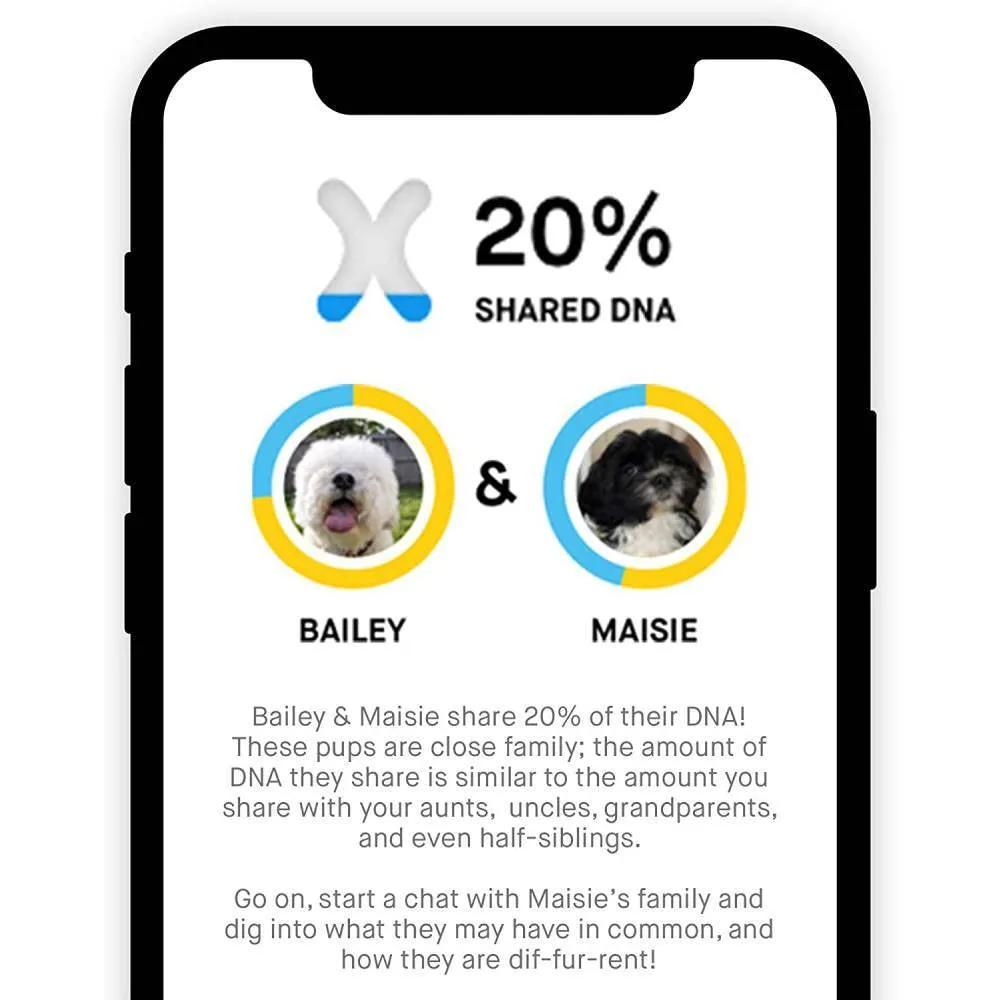 Embark Dog DNA Test, Breed Identification Kit