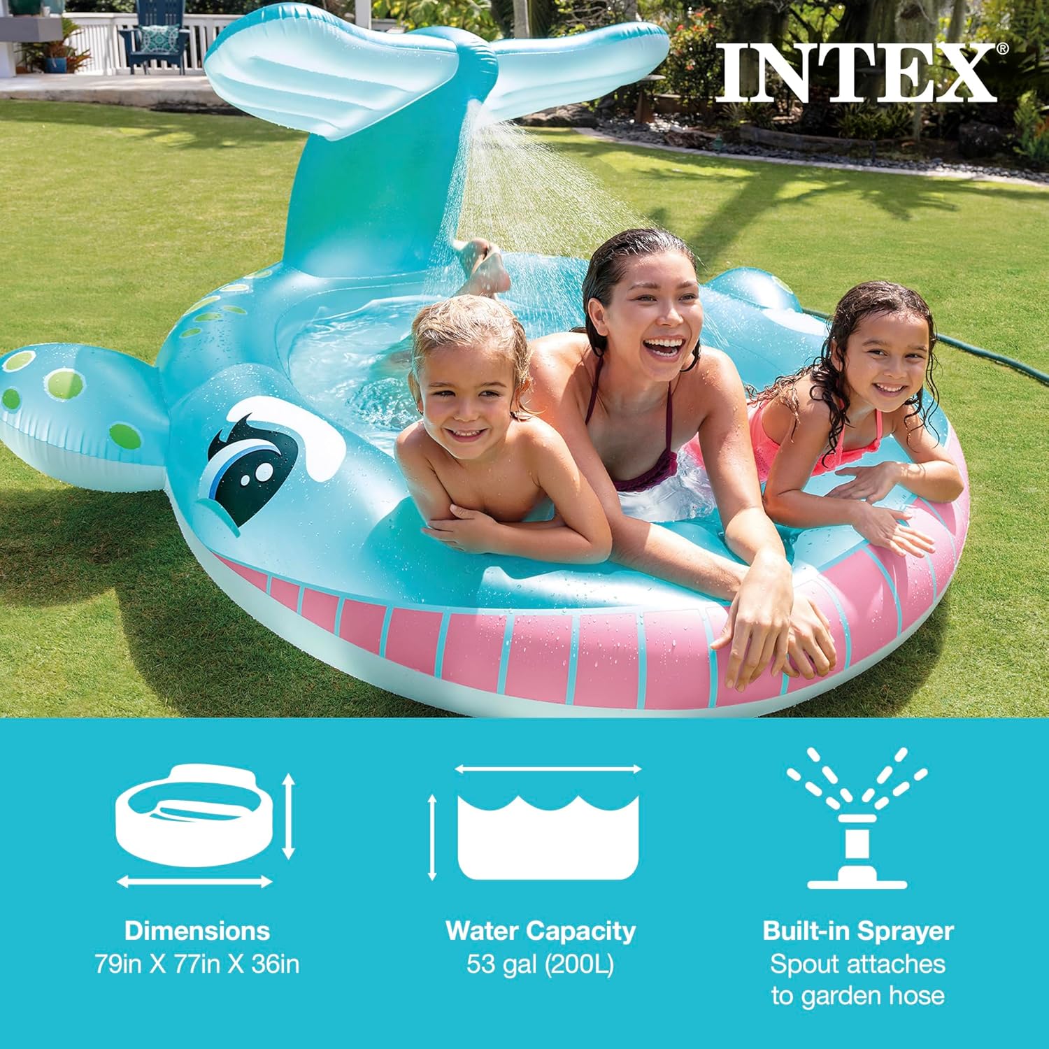 Intex 96