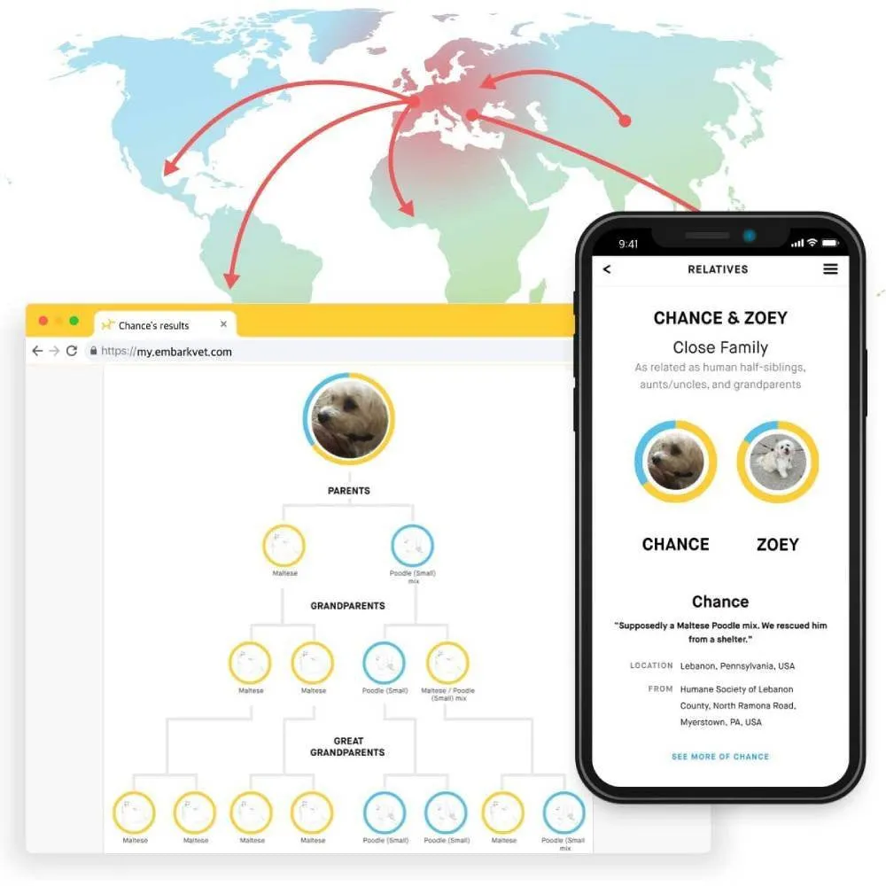 Embark Dog DNA Test, Breed Identification Kit