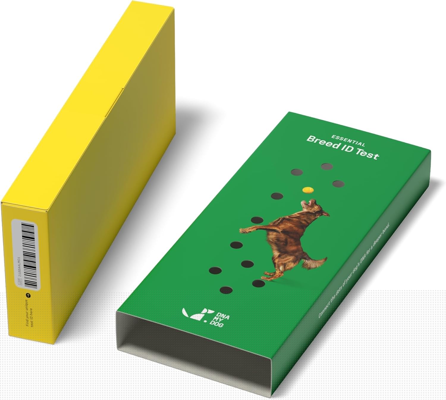 Dna My Dog Essential Breed ID Test – Accurate Mixed Breed Identification & Personality Insights with Easy Cheek Swab