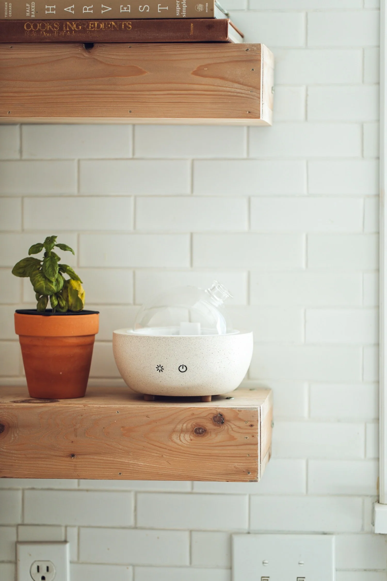 Concrete + Glass Dome Diffuser