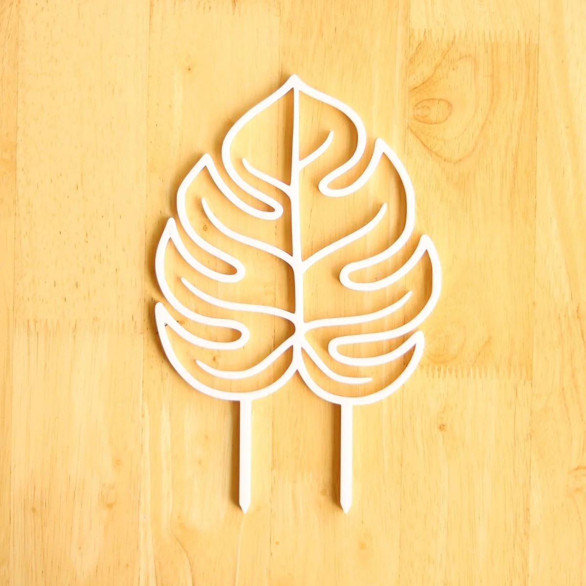 Monstera-Blatt-Zimmerpflanzen-Spalier