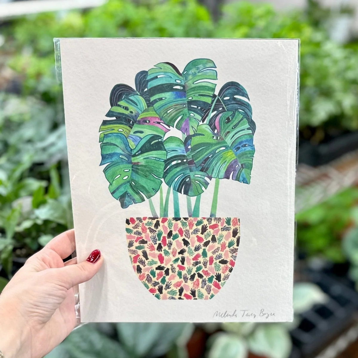 Monstera Topf Druck