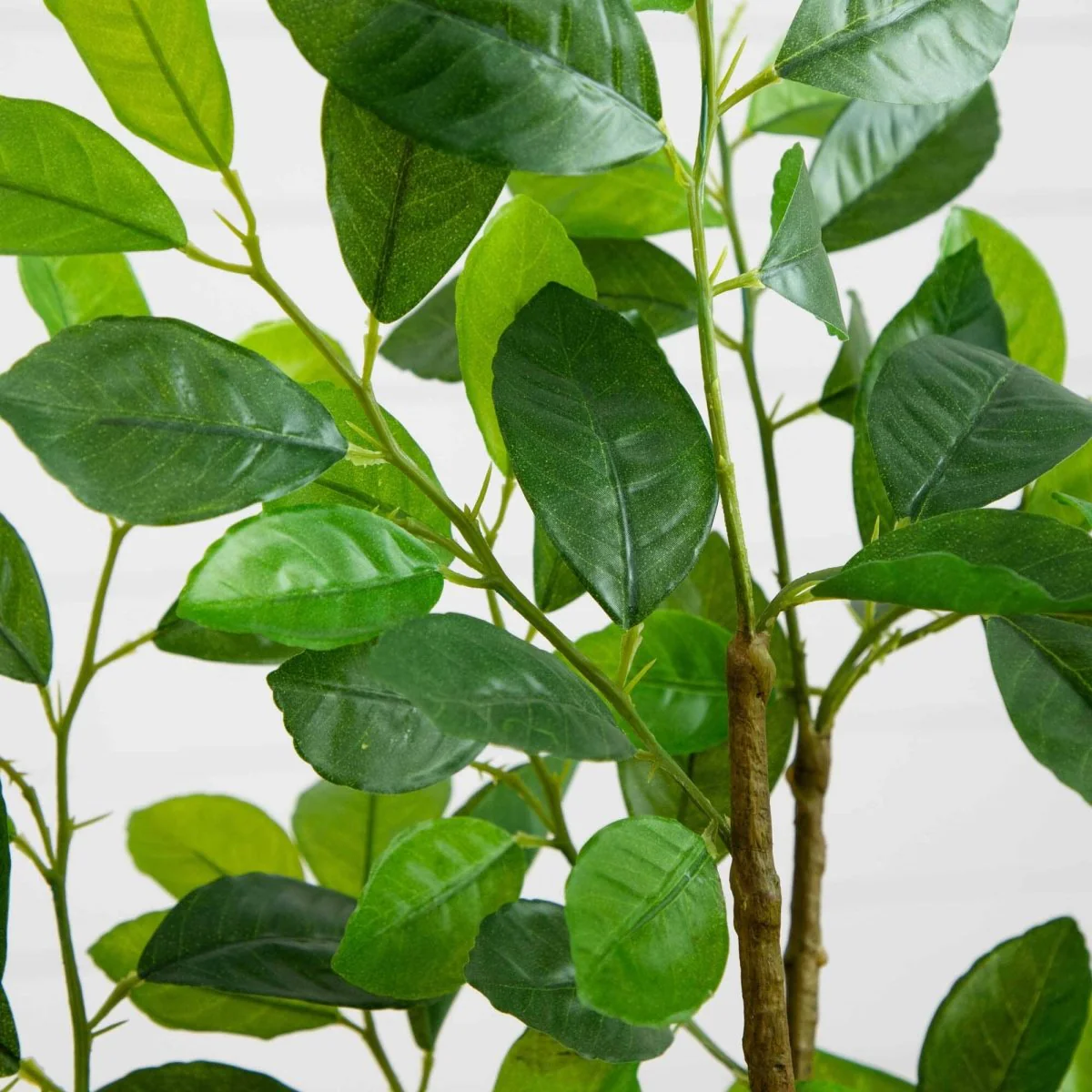 3 Fuß künstlicher Ficus-Baum im Pflanzgefäß