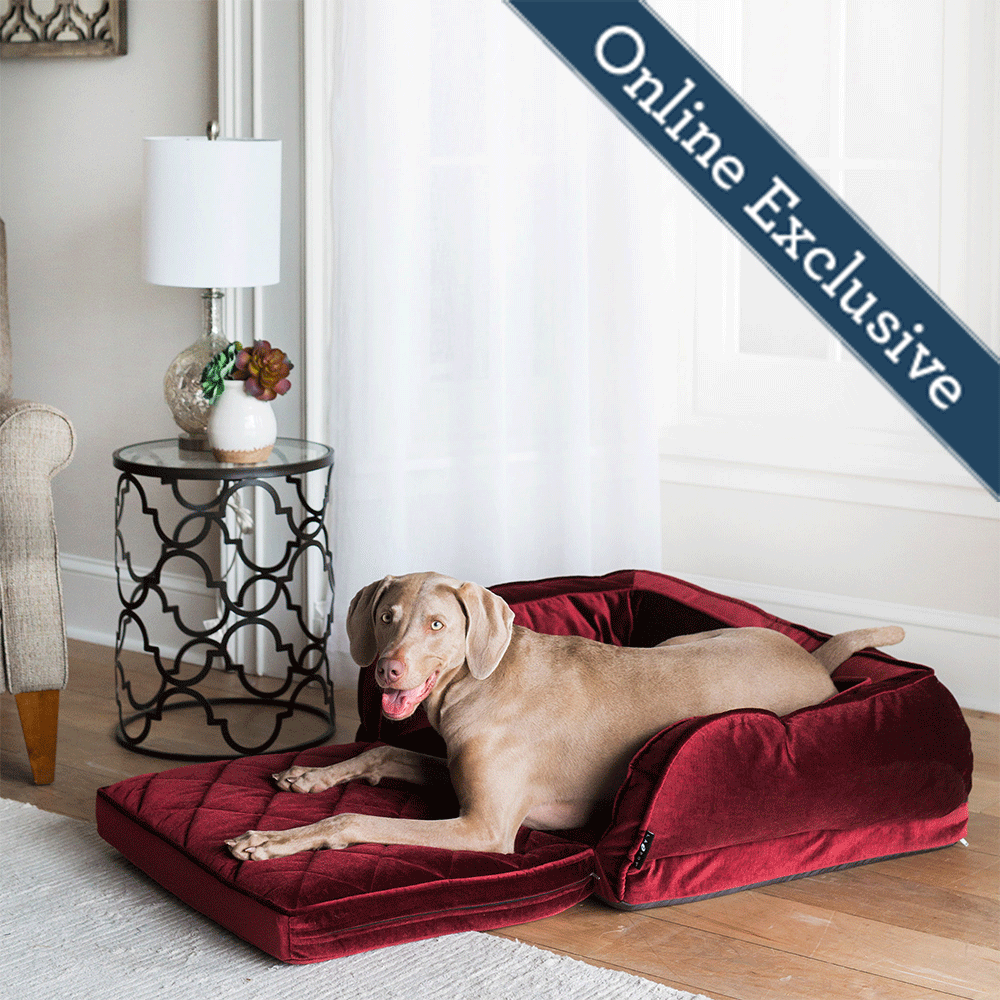 Duchess Fold Out Sofa, Merlot