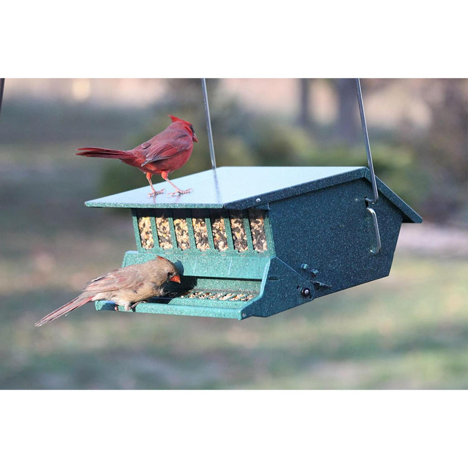 Audubon (#7511I) Bird’s Delight Squirrel Resistant Bird Feeder, 5 Gallon ?Green