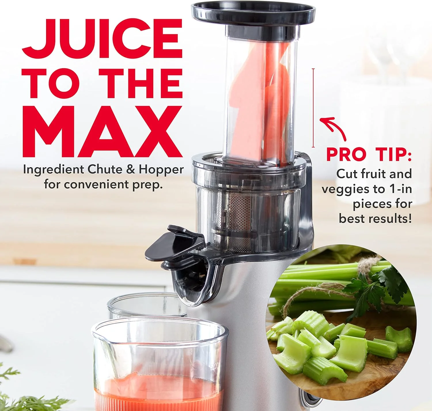 DASH Deluxe Compact Masticating Slow Juicer, Easy to Clean Cold Press Juicer with Brush, Pulp Measuring Cup, Frozen Attachment and Juice Recipe Guide - Graphite