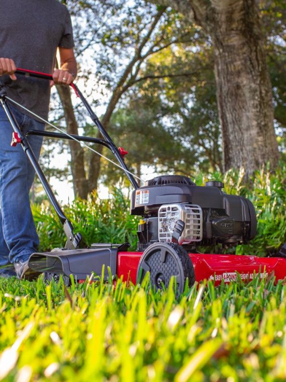 20-Inch 125Cc Gas Push Mower with Briggs & Stratton Engine