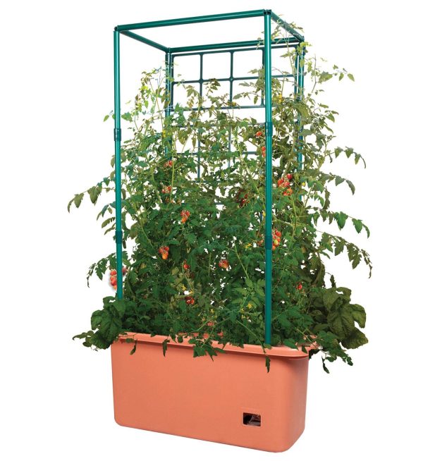 10 Gal Tomato Trellis Self Watering Grow System on Wheels (3 Pack)