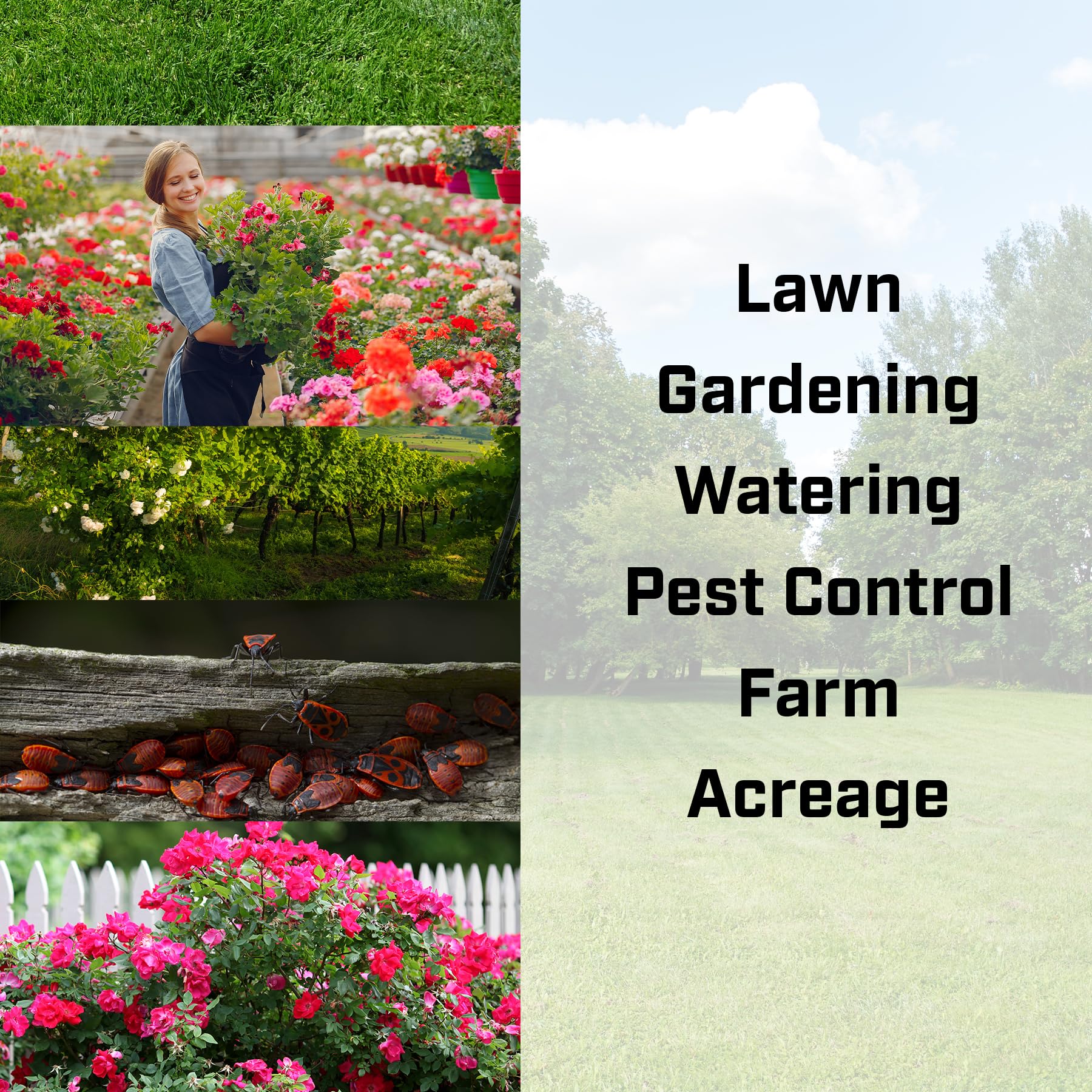 Chapin 63924 Fertilizer Herbicides Pesticides