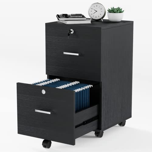 VINGLI Cabinet Folders Rolling Cabinets