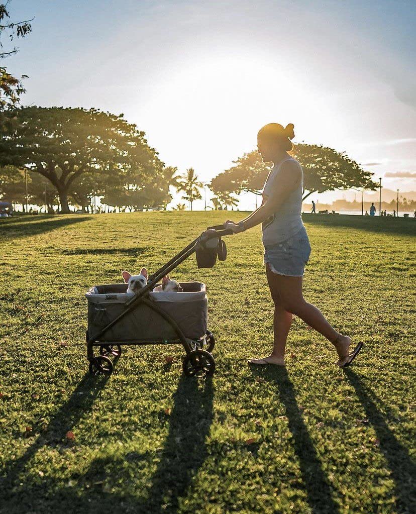 Baby Trend Expedition Stroller Marine