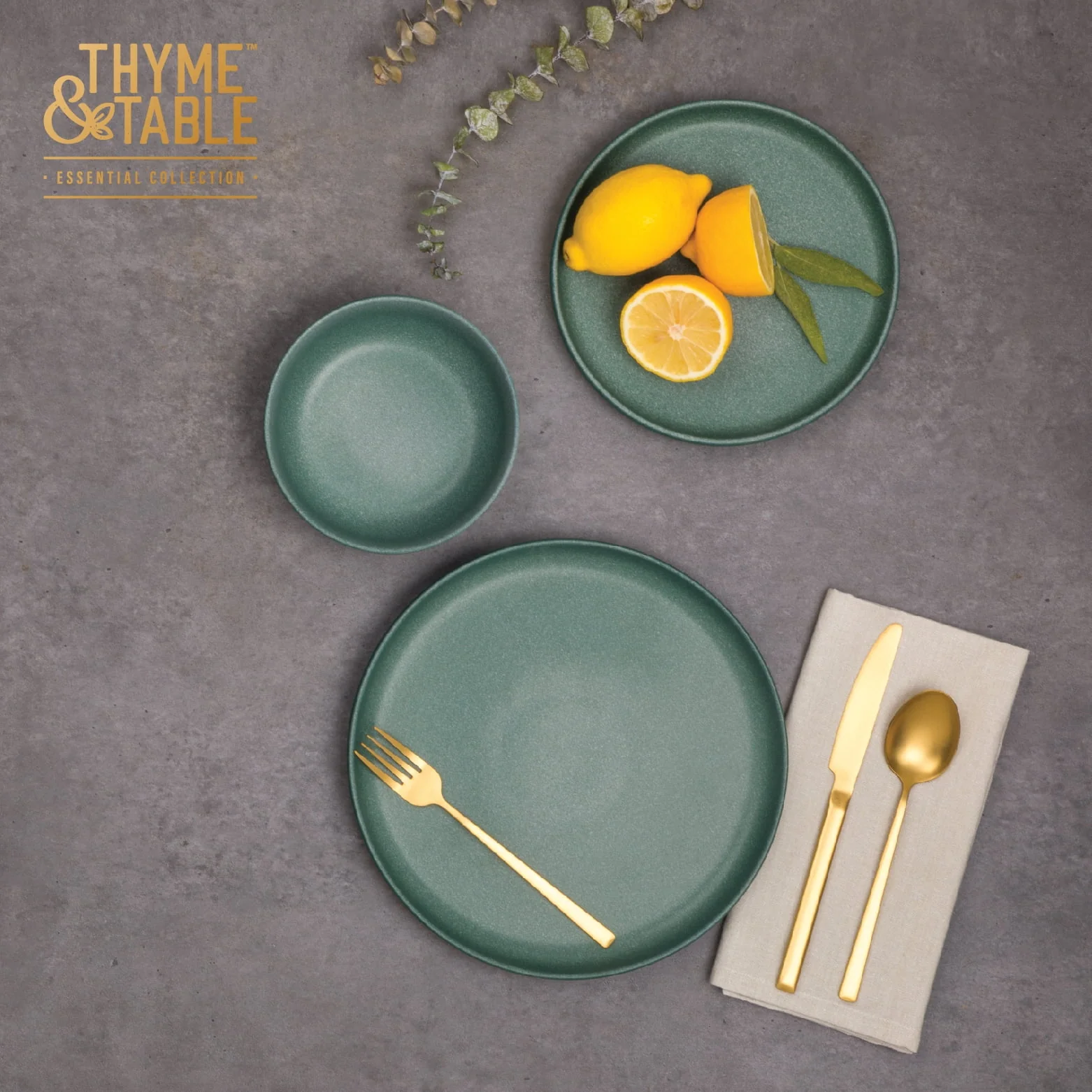 Thyme & Table 12-Piece Stoneware Dinnerware Set, Caspian Green Collection