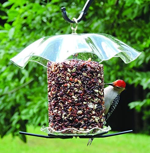 Birds Choice 2 Arm Topper Bird Feeder Pole Set with Squirrel Baffle