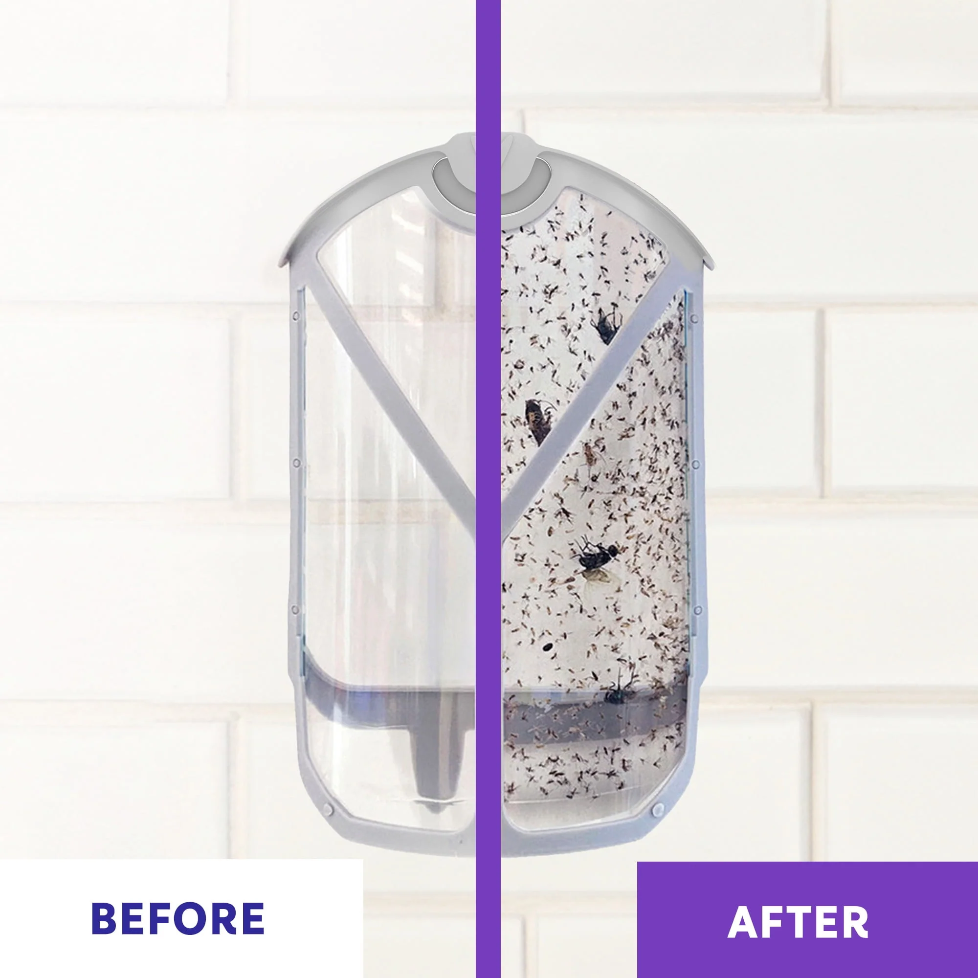 Zevo Flying Insect Trap, Indoor Fly Trap - 2 Devices + 2 Refills (Value Pack)