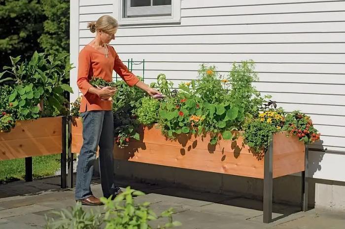 EcoStained Self-Watering Raised Planter Box with Aluminum Legs, Cedar/Cypress, 96   x24   x29