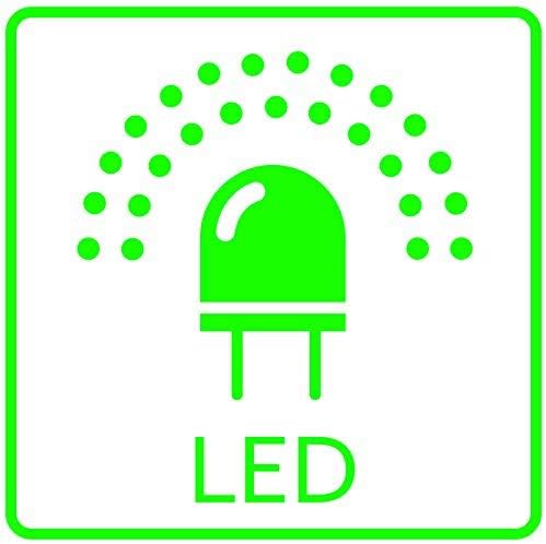 Ceiling Fan (Soft Brass/Flat White)