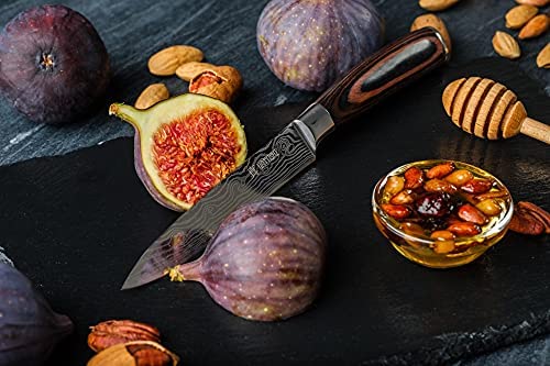 Yatoshi 7 Knife Block Set – Pro Kitchen Knife Set Ultra Sharp High Carbon Stainless Steel with Ergonomic Handle