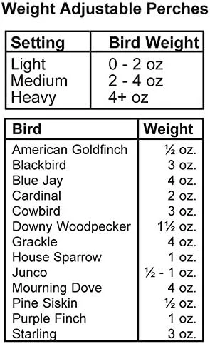 Woodlink Absolute II Squirrel Resistant Bird Feeder Model 7536, 12 lbs, Model:301045