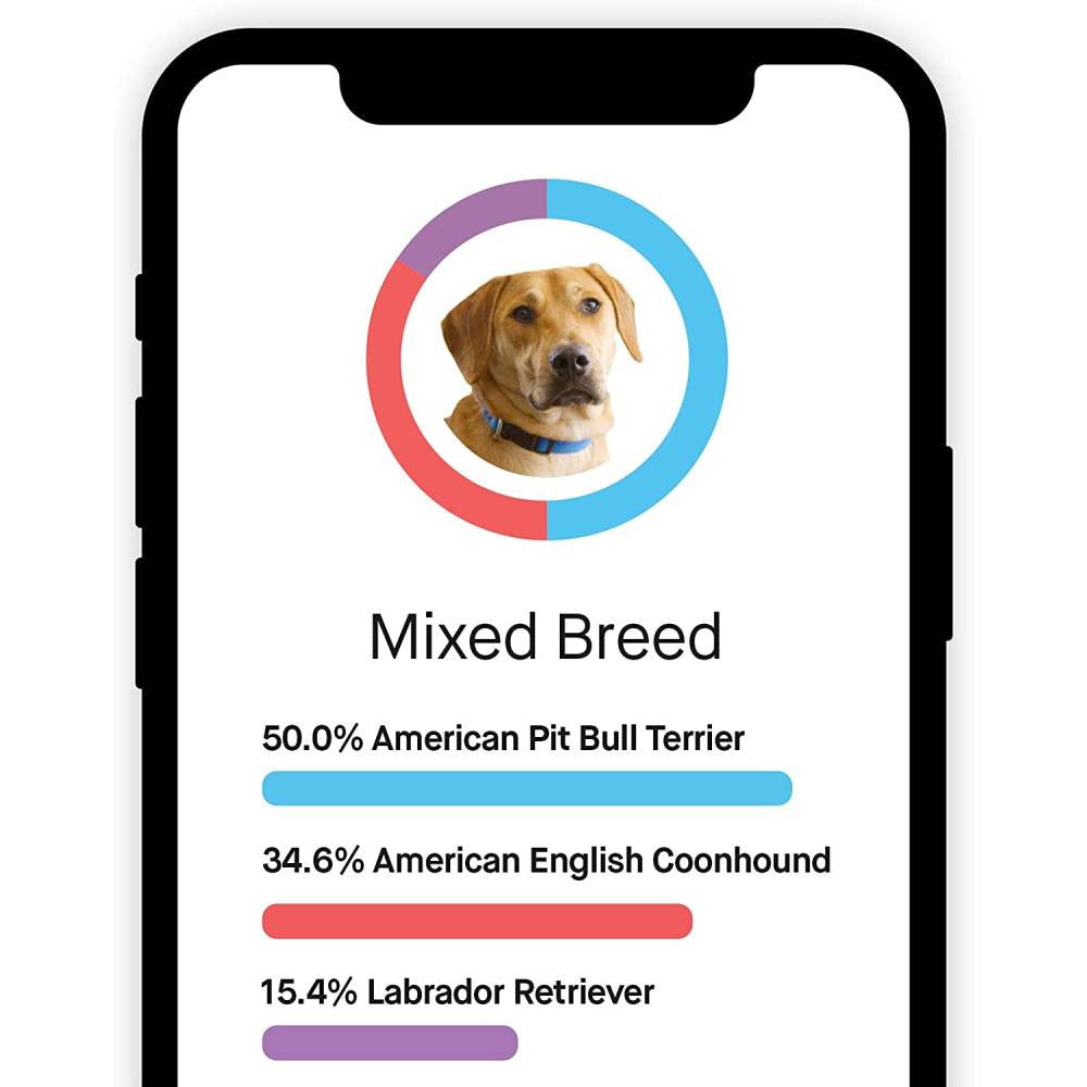 Embark Dog DNA Test, Breed Identification Kit