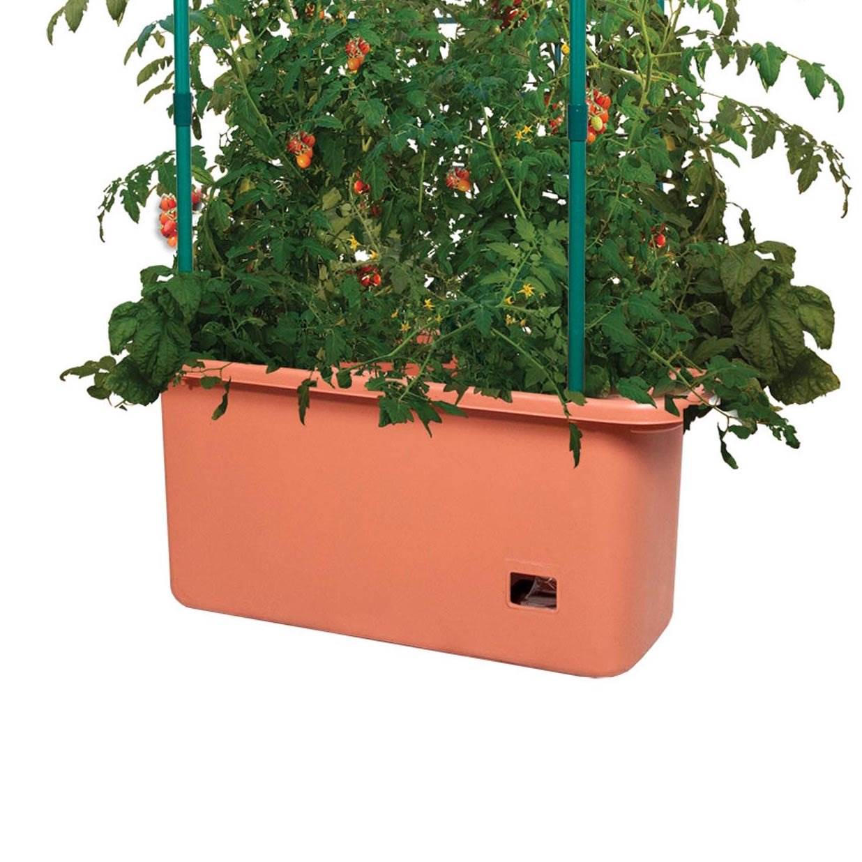 10 Gal Tomato Trellis Self Watering Grow System on Wheels (3 Pack)