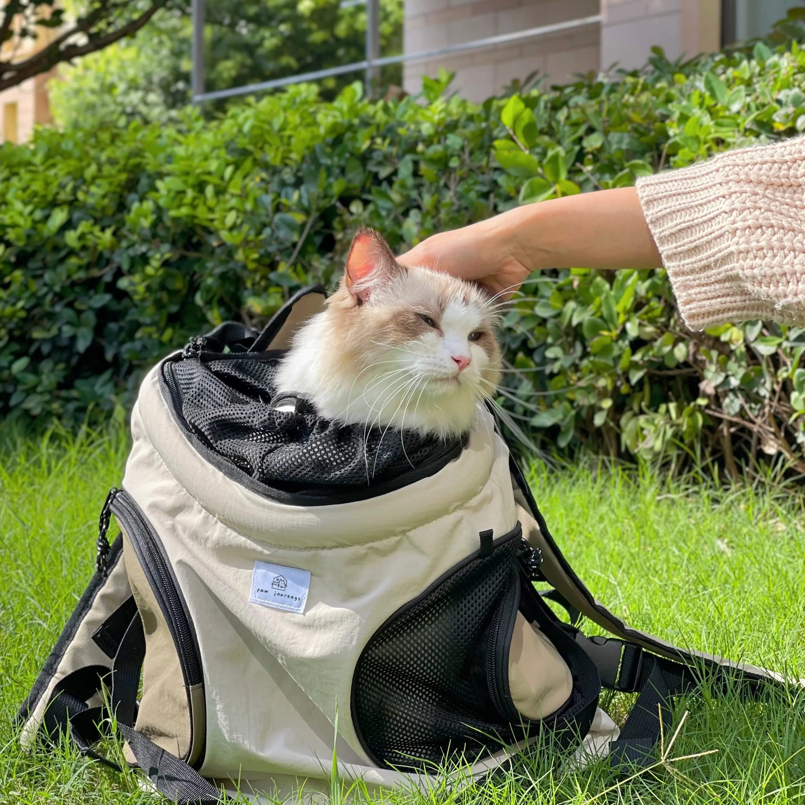 Paw Journeys | Front Facing Pet Backpack Carrier