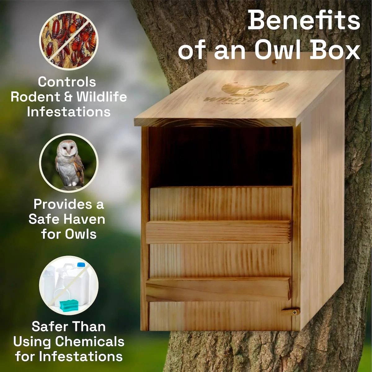 Owl House Real Wood - Easy to Hang - Prebuilt Owl Box for Outside - Houses Owls & Kestrels - Cedar Shavings & Screws Included - Owl Nesting Box, Barn Owl, Screech Owl Houses for Outdoors