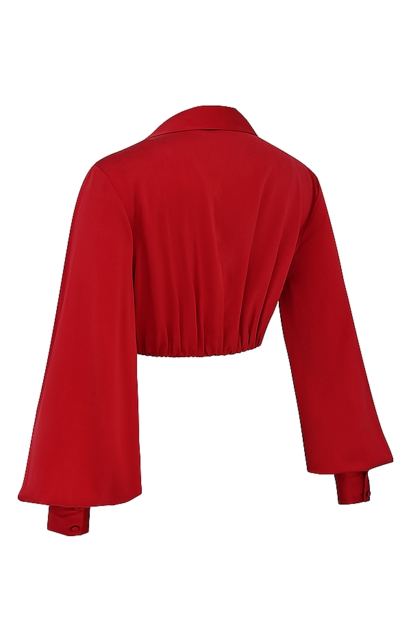 Laraine-Cherry Silk Blouson Top