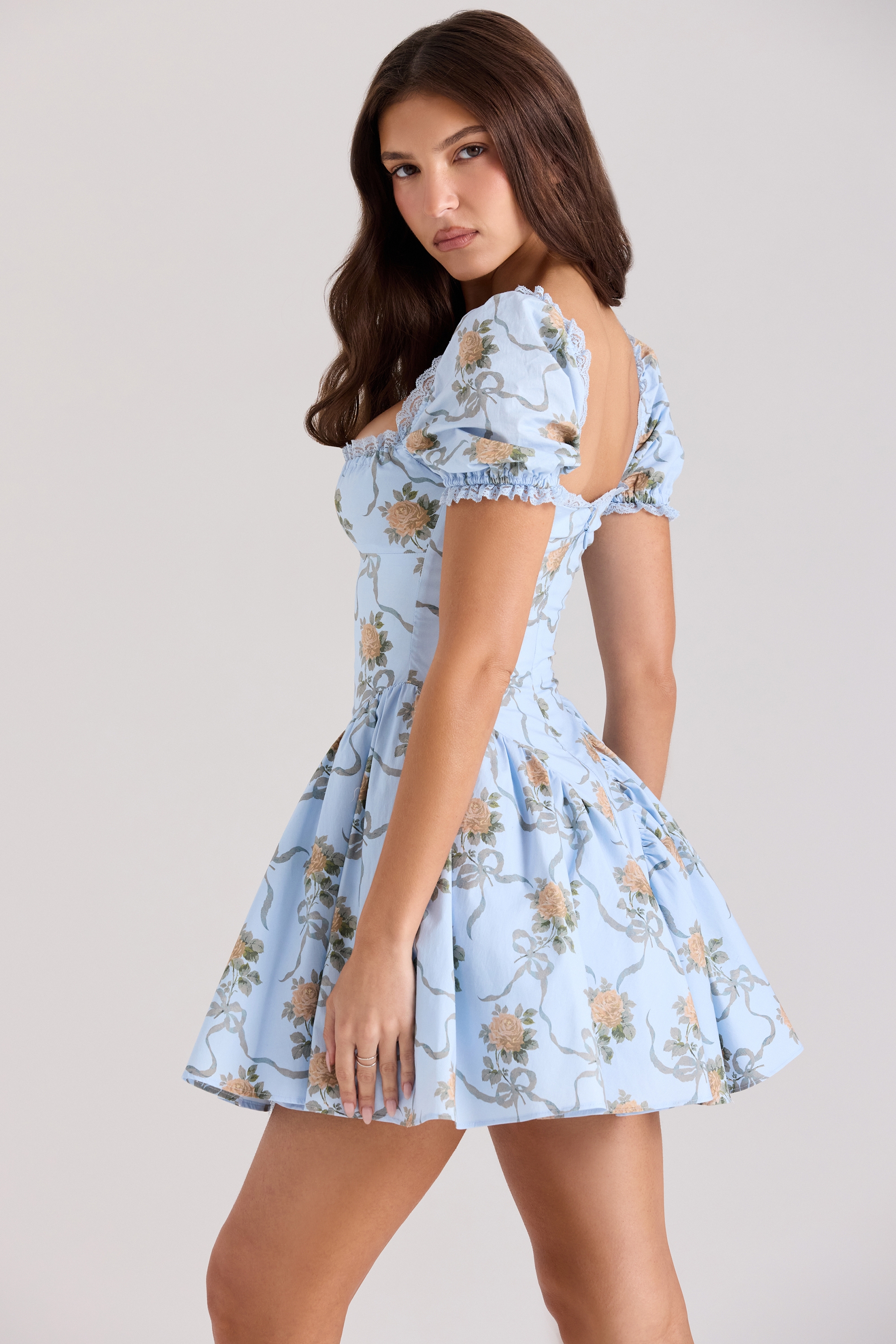 Rosie-Blue Rose Print Cotton Mini Dress