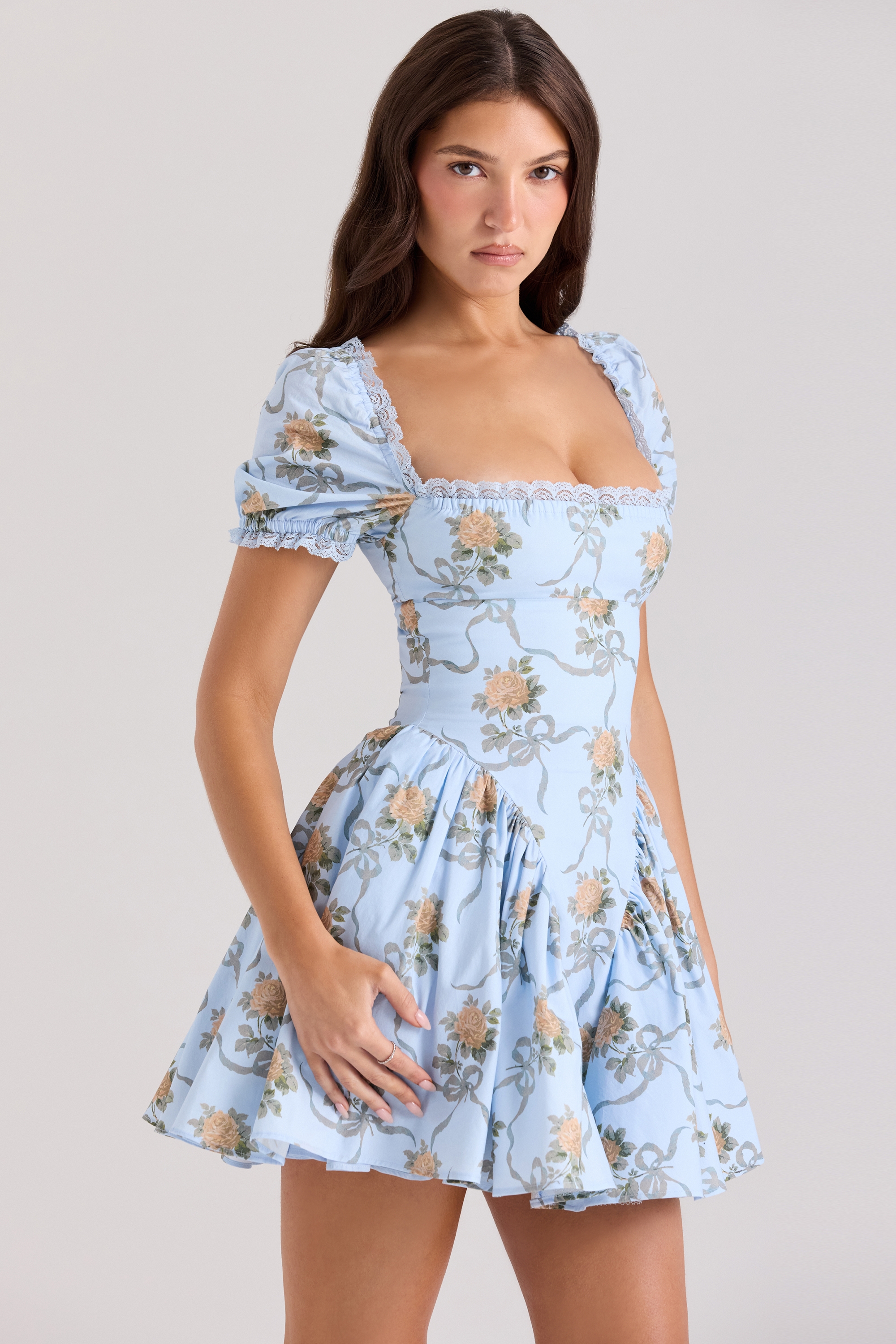Rosie-Blue Rose Print Cotton Mini Dress
