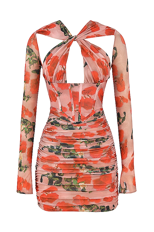 Adanna-Rose Print Corset Mini Dress