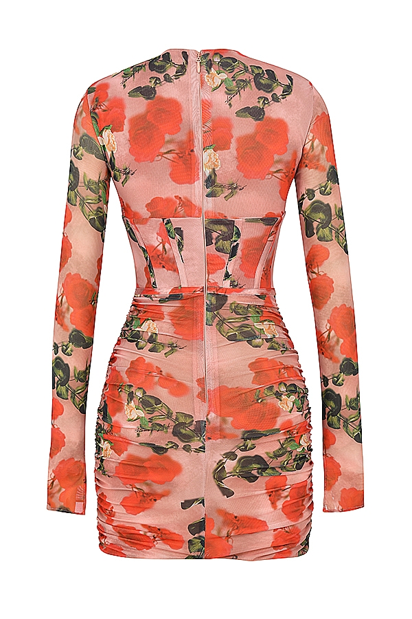 Adanna-Rose Print Corset Mini Dress