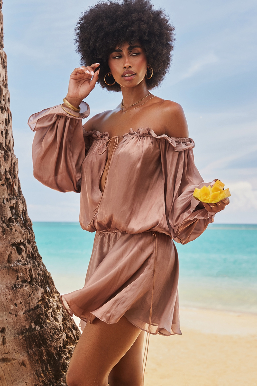 Chaya-Hazelnut Off Shoulder Dress