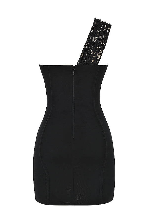 Lily-Black Lace Mini Dress