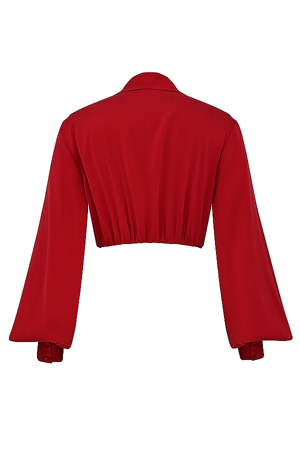 Laraine-Cherry Silk Blouson Top