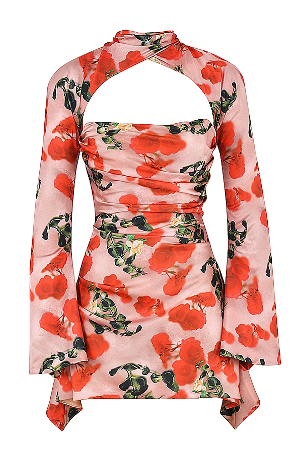 Toira-Rose Print Draped Corset Dress