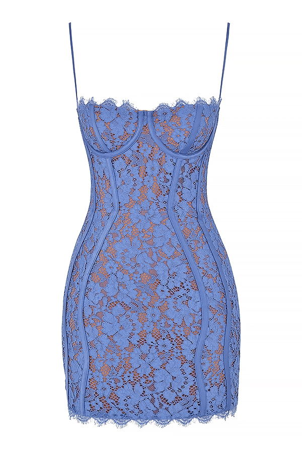 Lala-Lavender Lace Mini Dress
