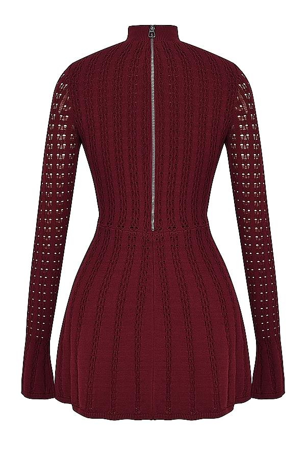Evalina-Wine Knit Corset Dress