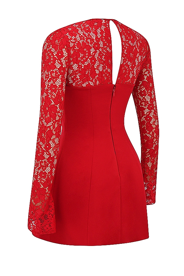 Jennica-Red Rose Satin And Lace Mini Dress