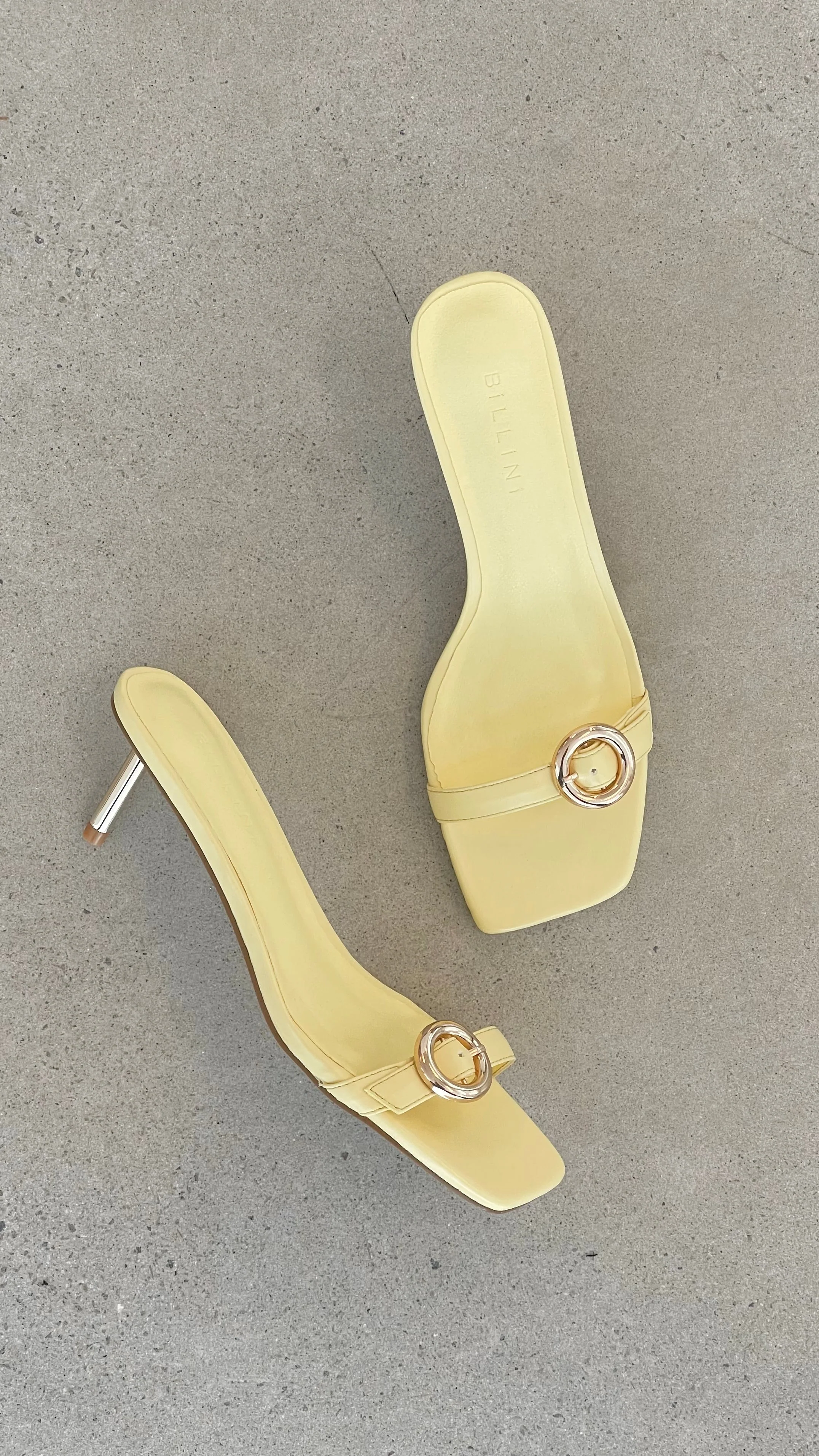 Lyon Heel - Daffodil