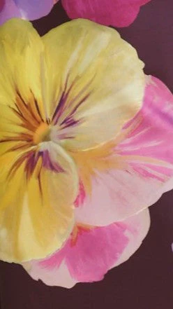 Helenie Maxi Dress - Purple/Yellow Floral