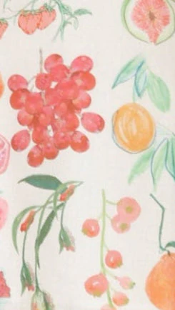 Davana Mini Dress - Fruit Punch Print