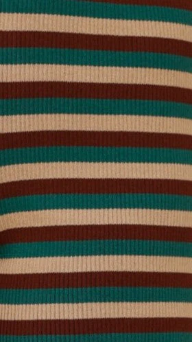 Bianca Knit Ribbed Shorts - Green Stripe