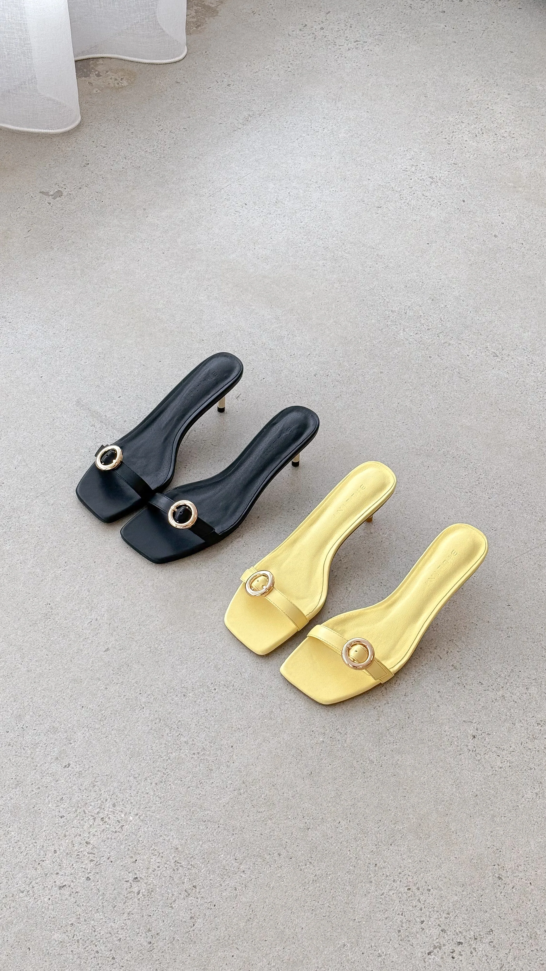 Lyon Heel - Daffodil