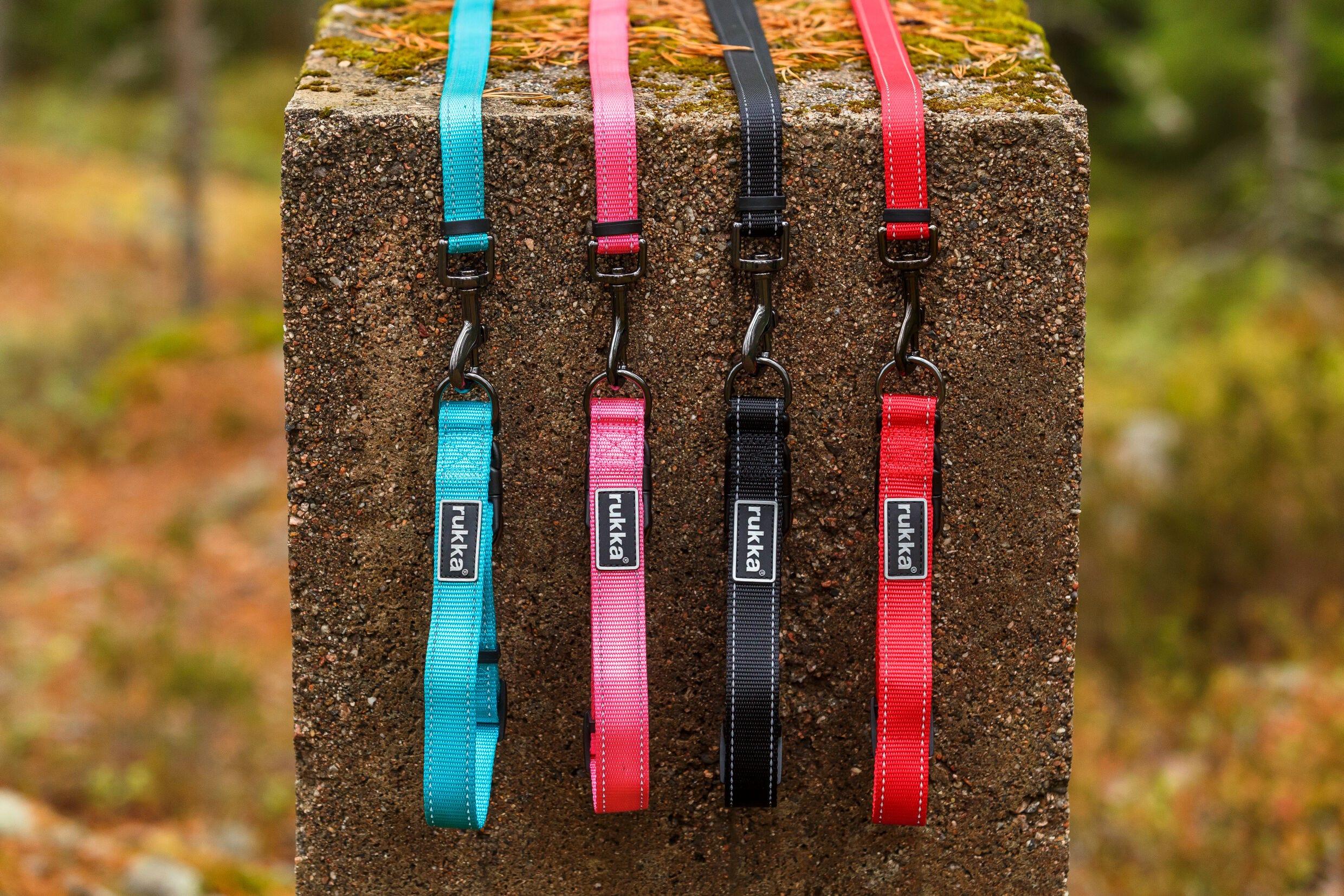 Rukka Pets Bliss collar