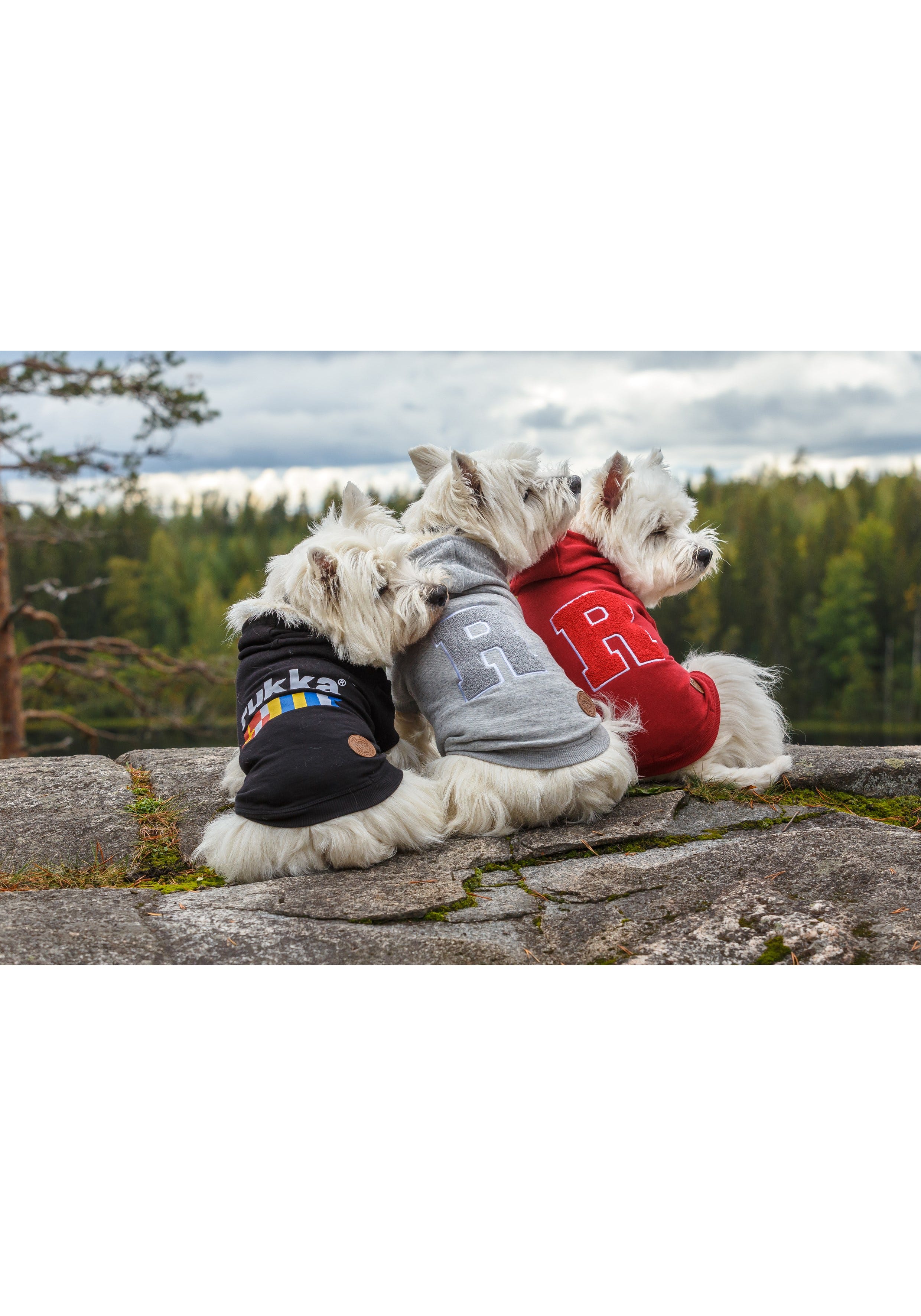 Rukka Pets Sierra sweater