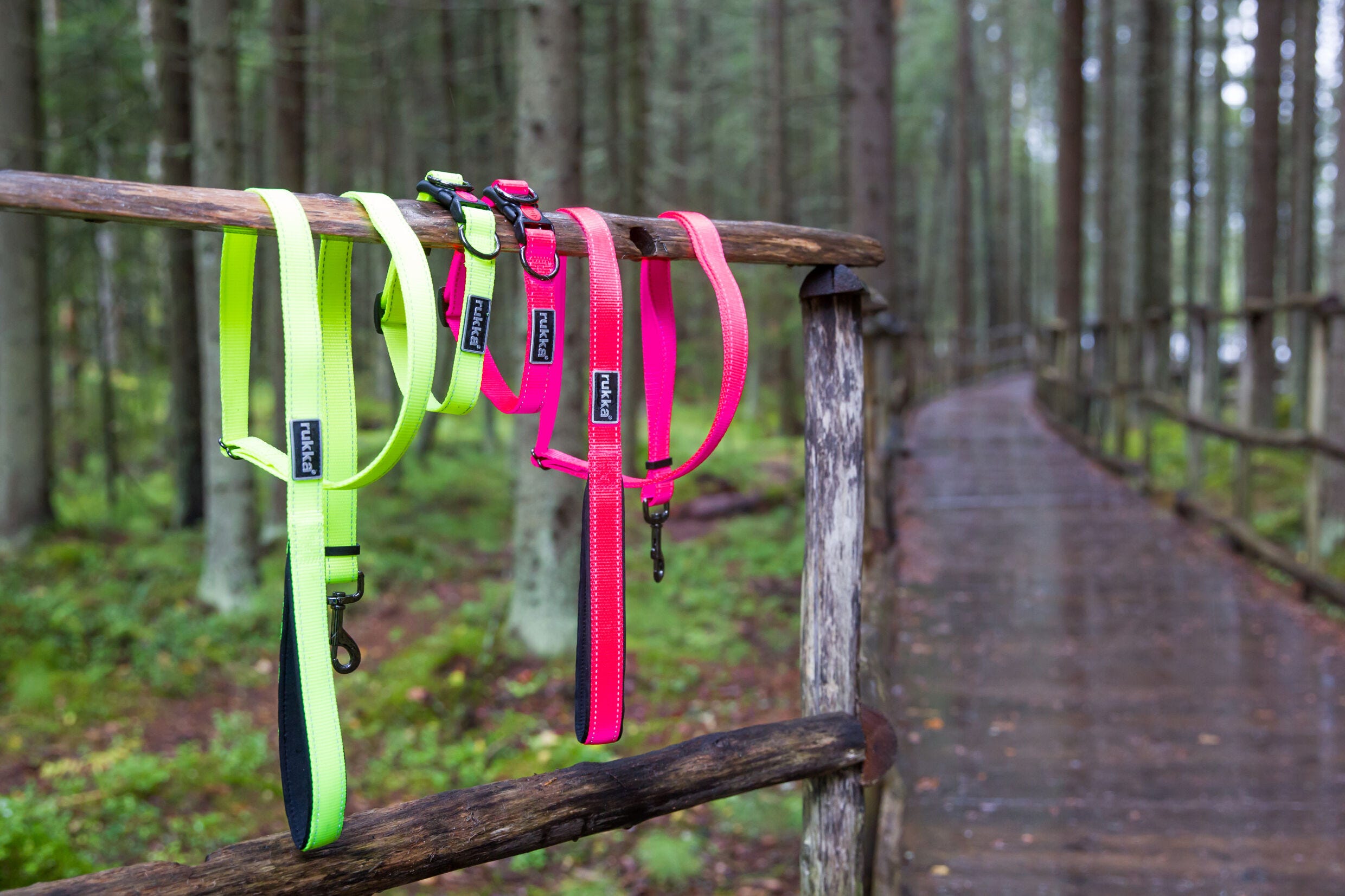 Rukka Pets Bliss neon collar