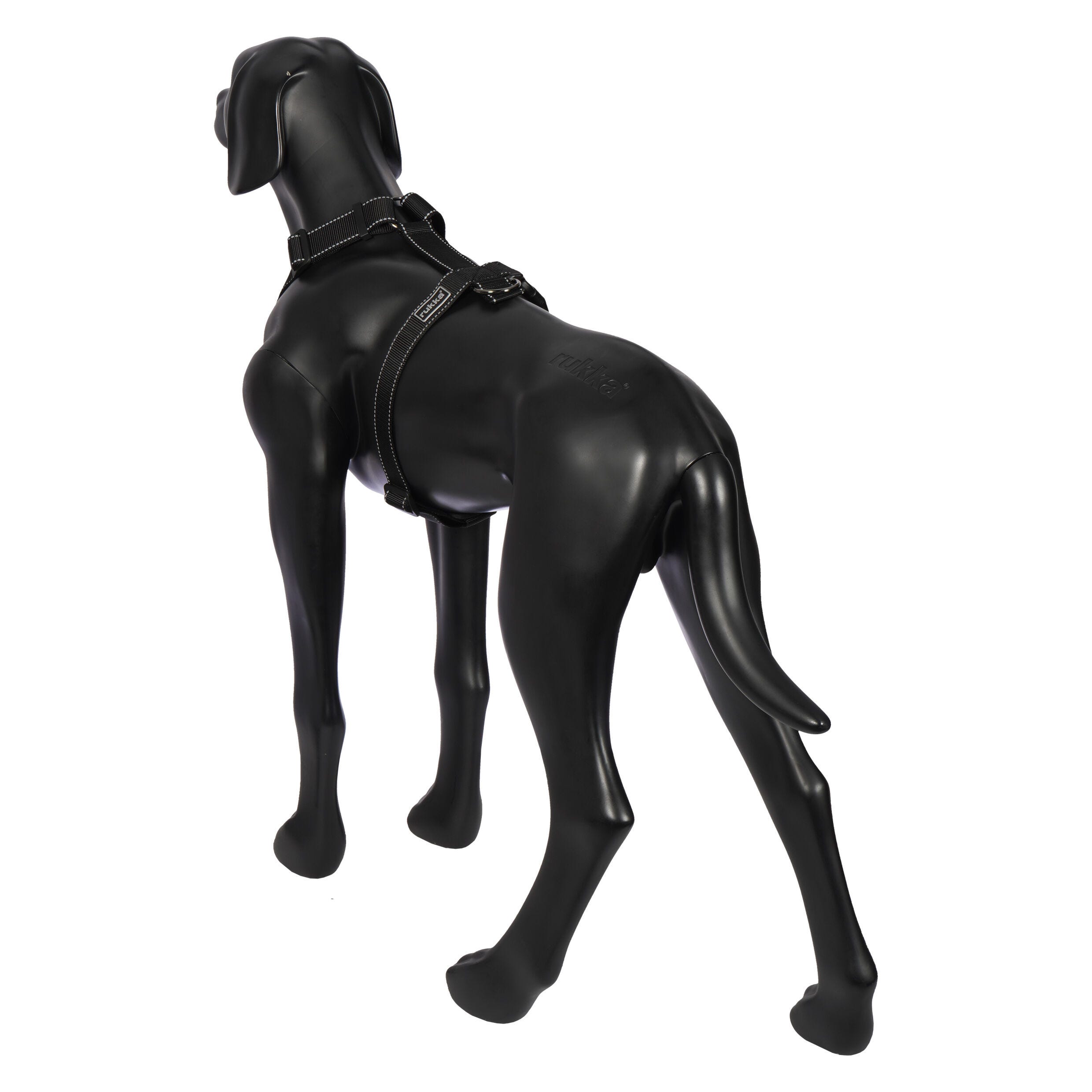 Rukka Pets Form harness
