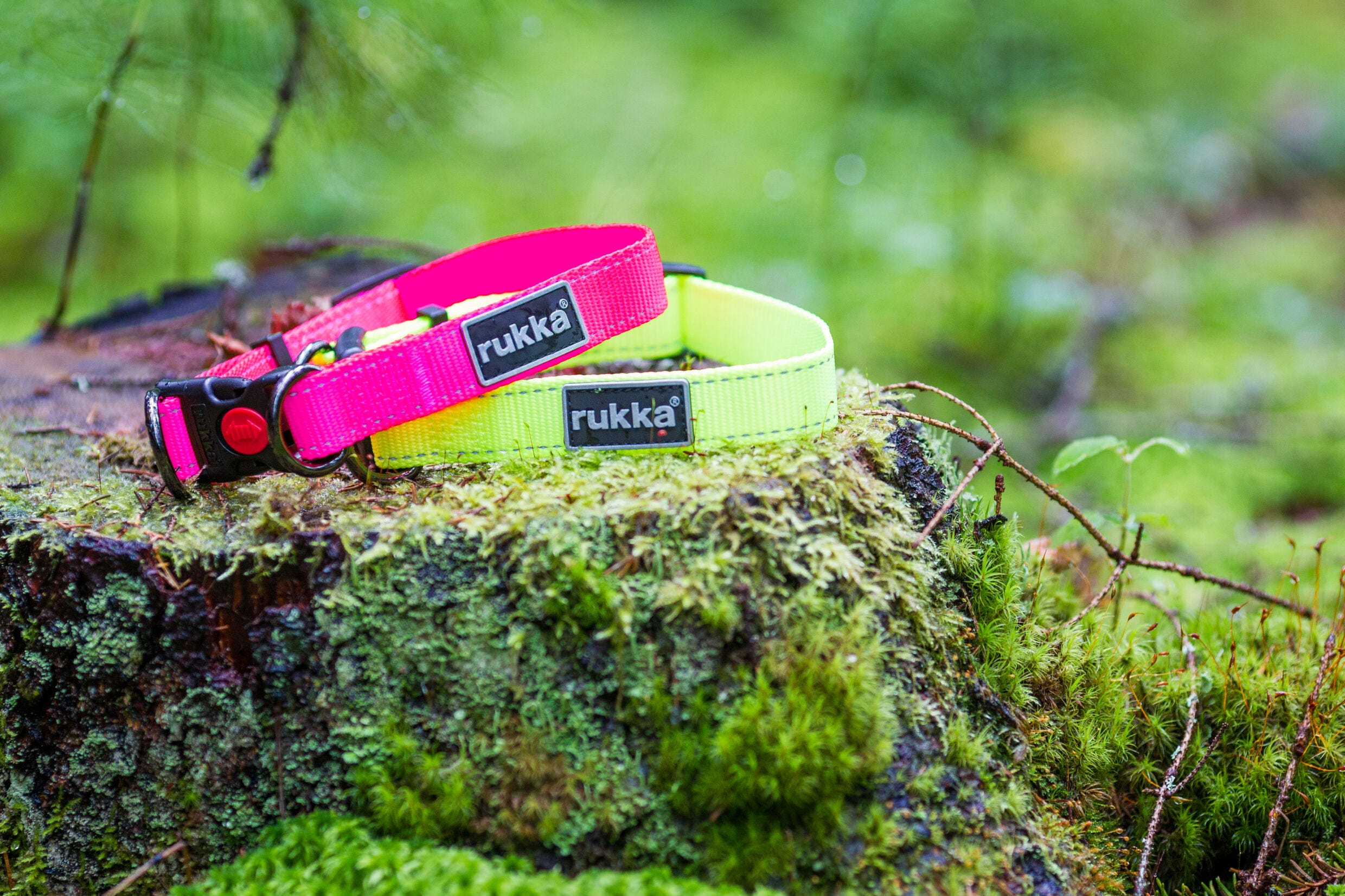 Rukka Pets Bliss neon collar