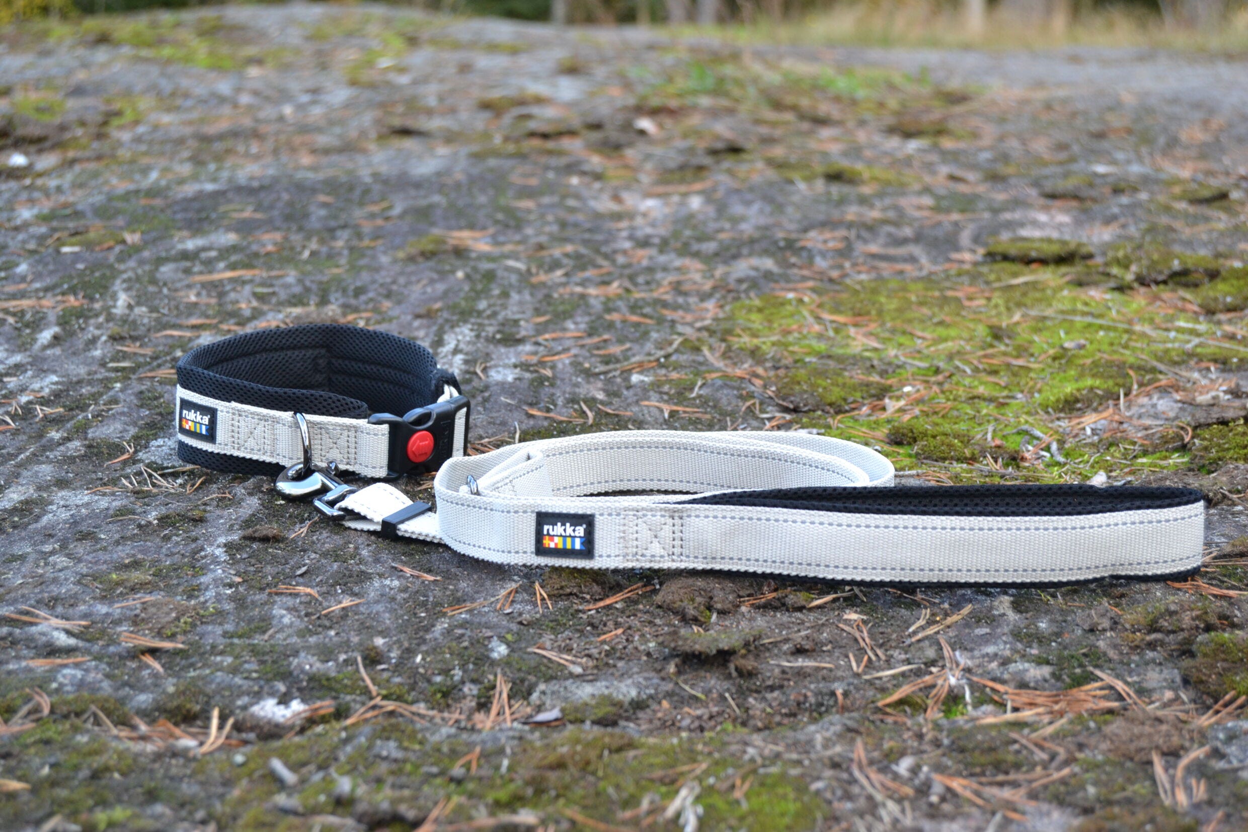 Rukka Pets Bliss x leash